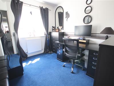 Picture 14